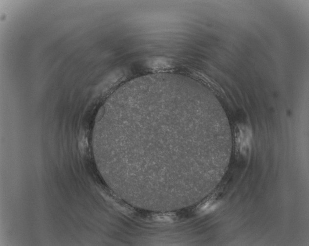 X0000076430618200610271735