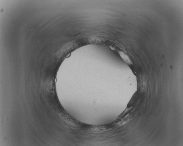 X0000076430619200610271735