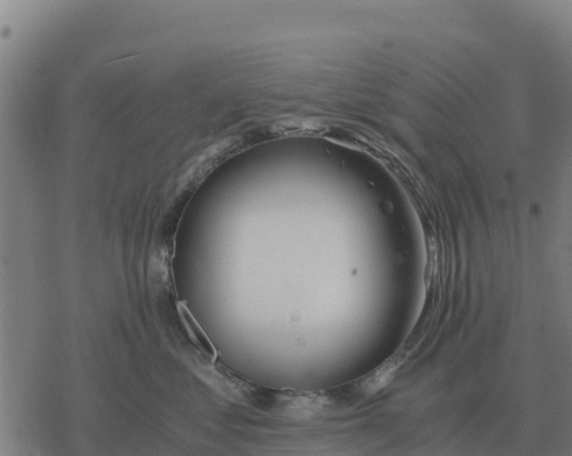 X0000076430621200610271735