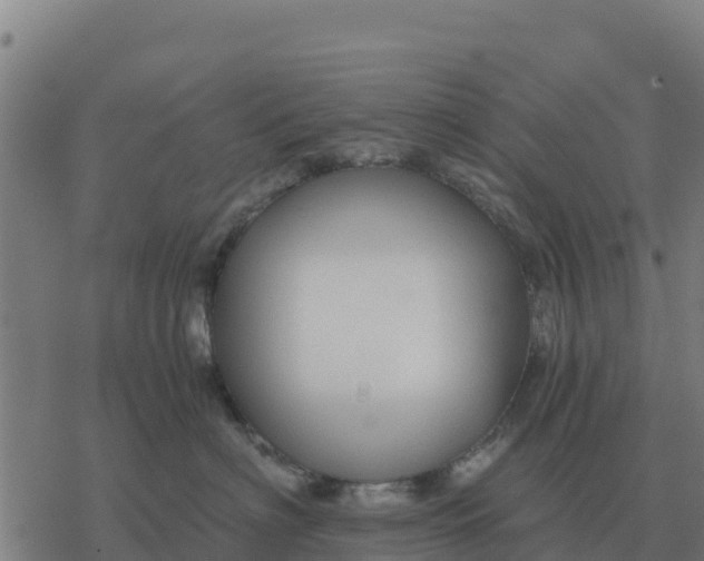 X0000076430622200610271735