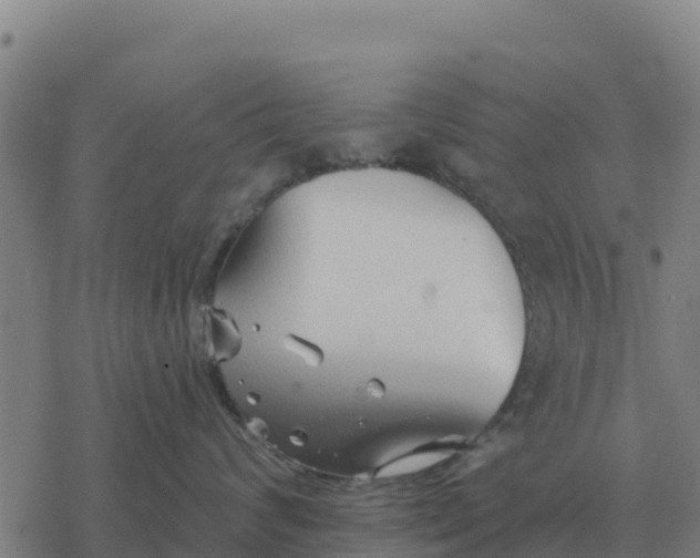 X0000076430624200610271735