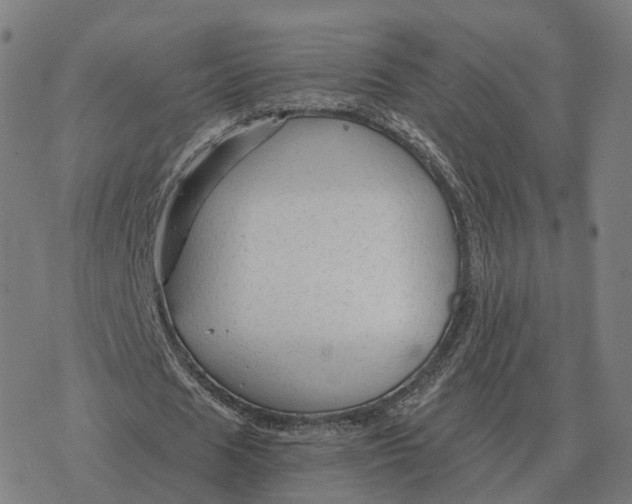 X0000076430625200610271734