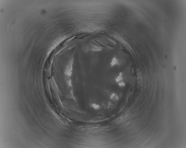 X0000076430626200610271734