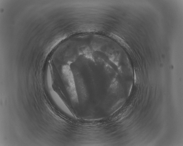 X0000076430627200610271734