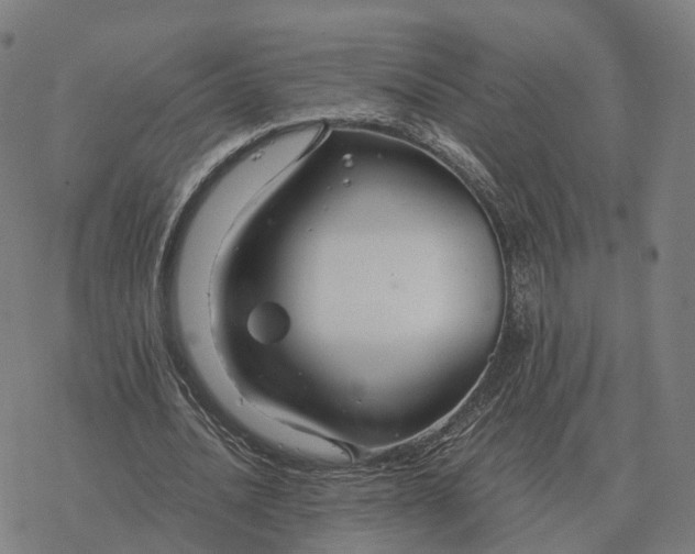 X0000076430628200610271734