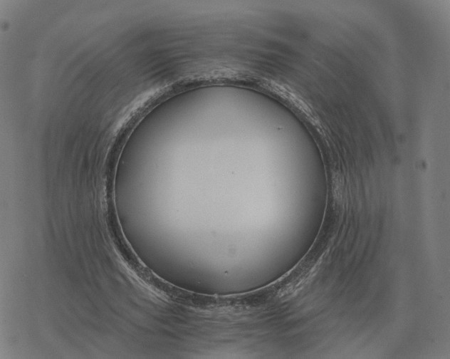 X0000076430629200610271734