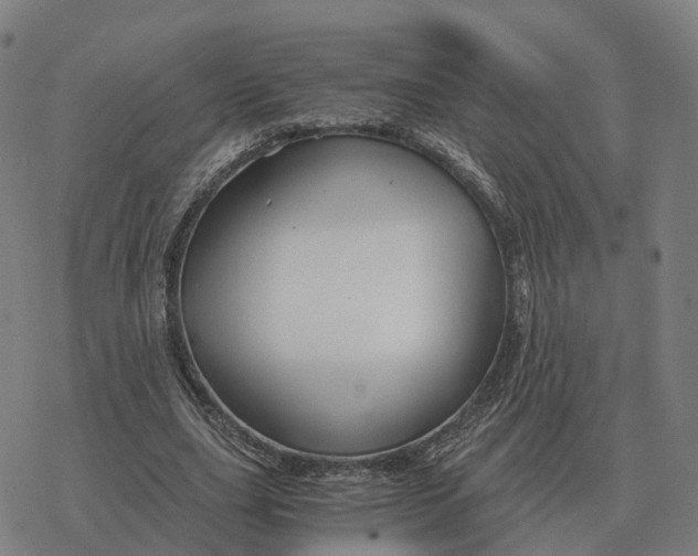 X0000076430631200610271734