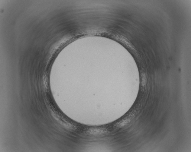 X0000076430632200610271734