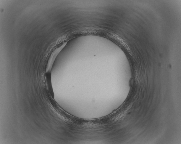 X0000076430633200610271734