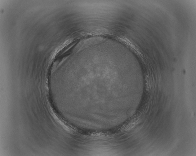 X0000076430634200610271734