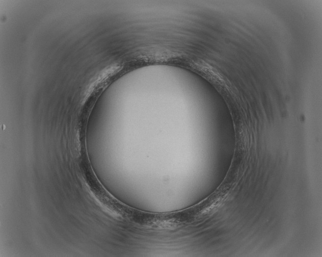 X0000076430638200610271734