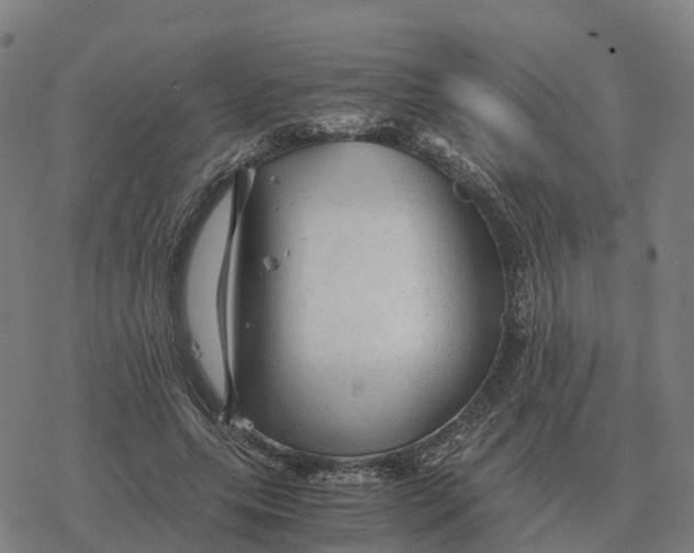 X0000076430639200610271734