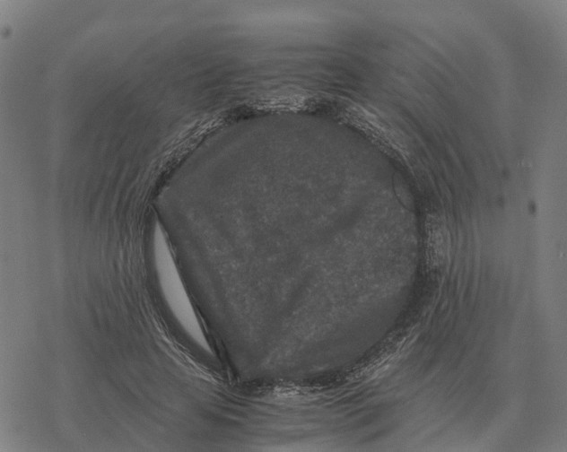 X0000076430641200610271734