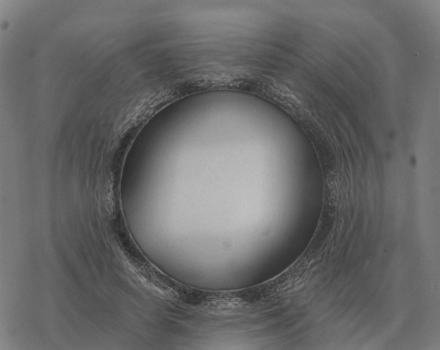 X0000076430642200610271734