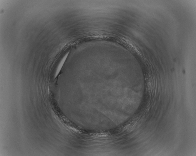 X0000076430643200610271734