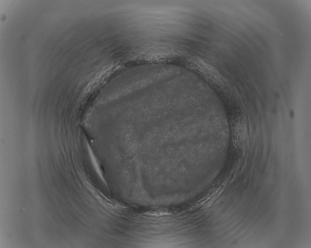 X0000076430644200610271734