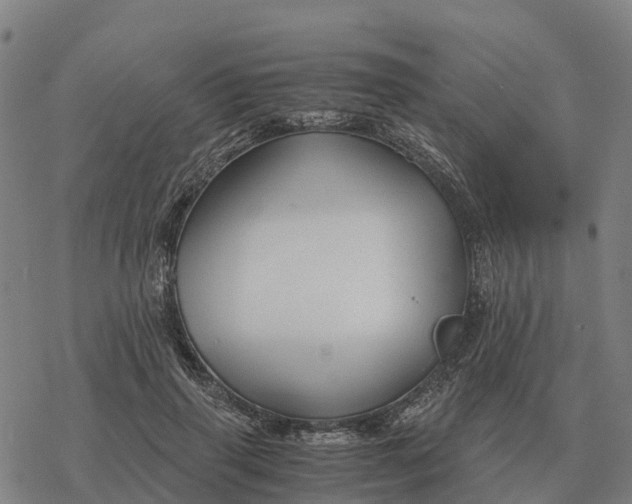 X0000076430645200610271734