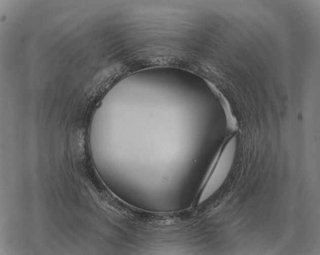 X0000076430646200610271734