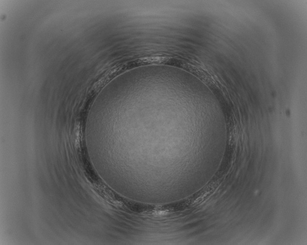 X0000076430647200610271734