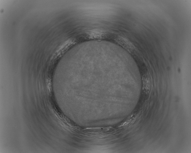 X0000076430648200610271734