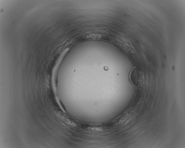 X0000076430649200610271734