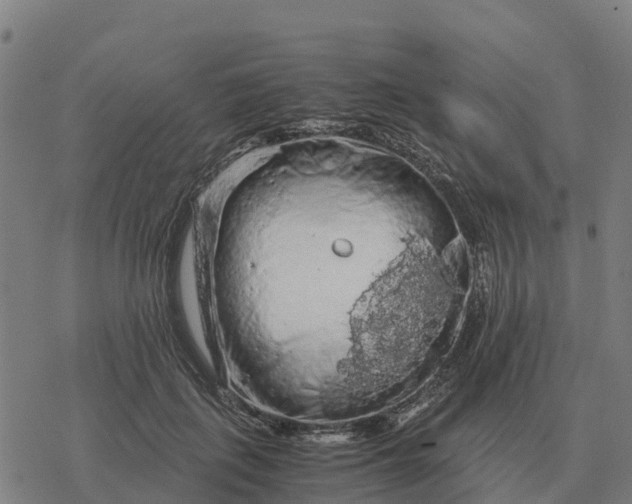 X0000076430651200610271734