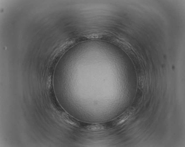 X0000076430652200610271734