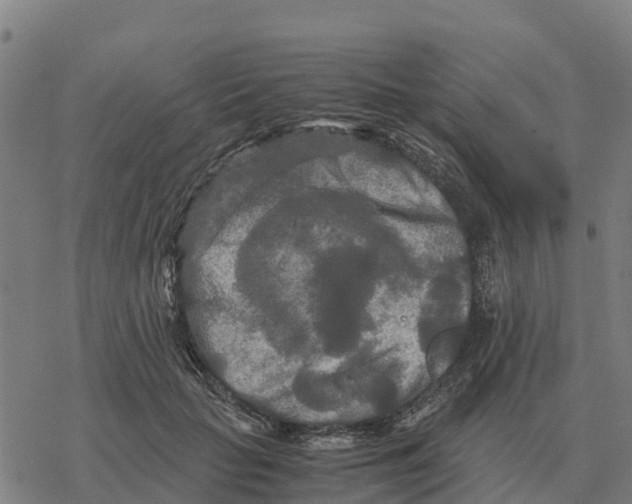 X0000076430653200610271734