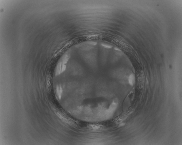 X0000076430654200610271734