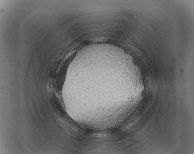 X0000076430655200610271734