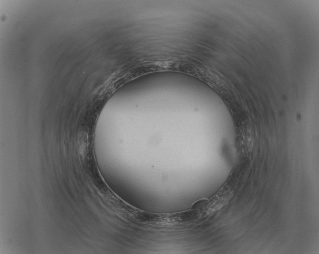 X0000076430656200610271734