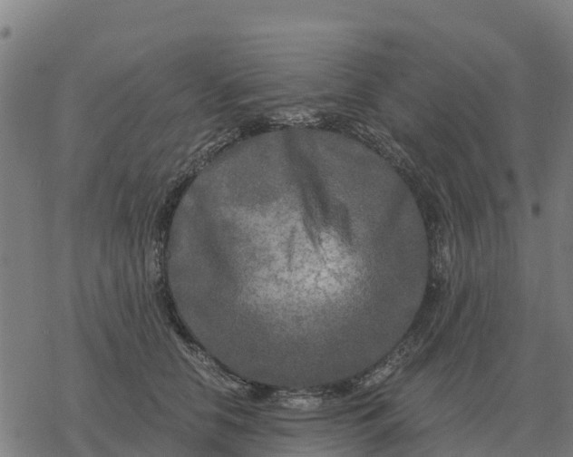 X0000076430658200610271734