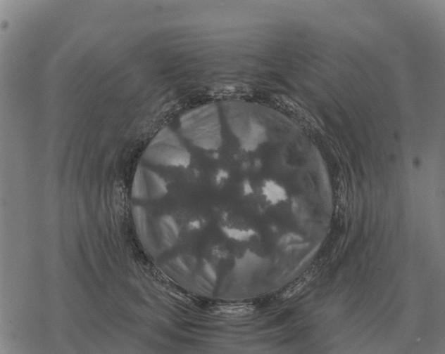 X0000076430659200610271734