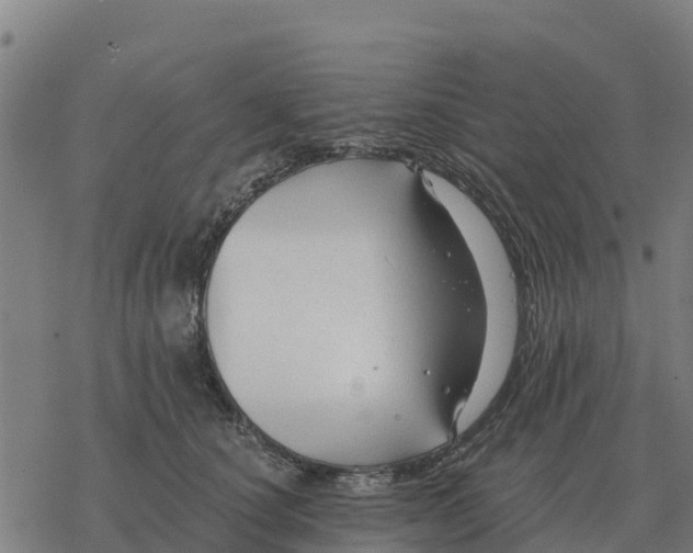 X0000076430660200610271734