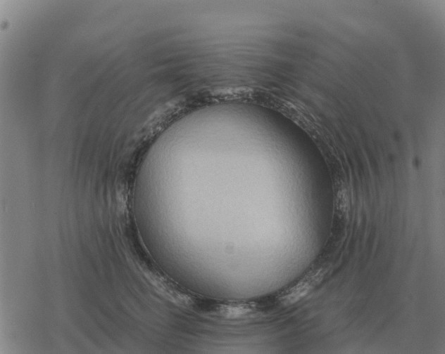 X0000076430662200610271734