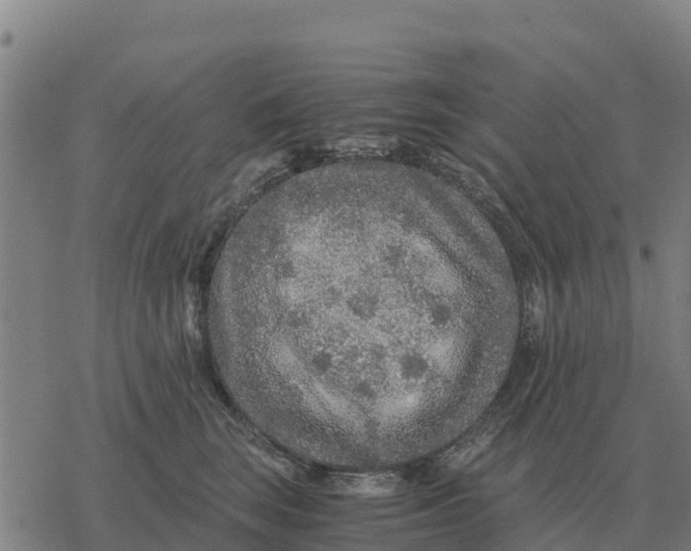 X0000076430663200610271734