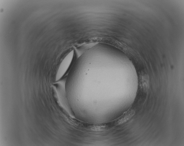 X0000076430664200610271734