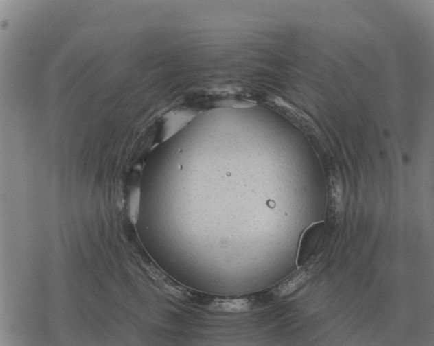 X0000076430665200610271734