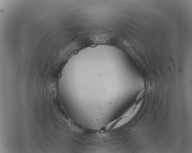 X0000076430666200610271735