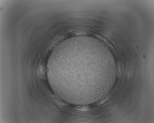 X0000076430667200610271735