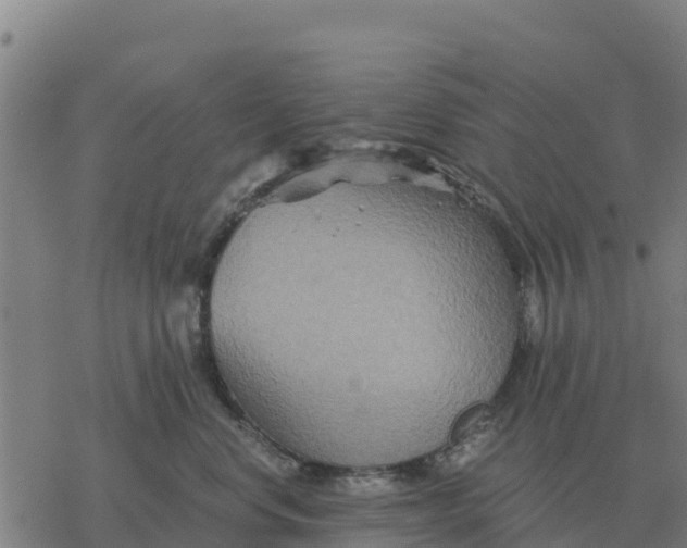 X0000076430668200610271735