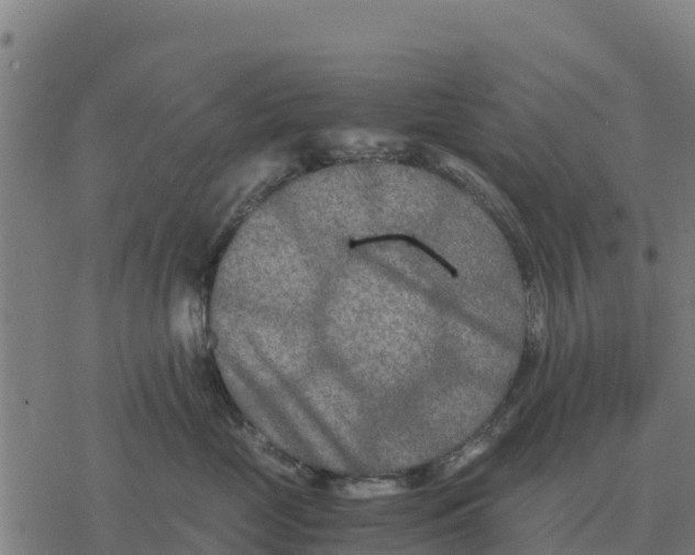 X0000076430669200610271735