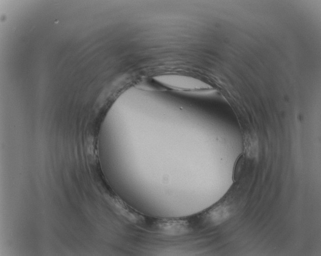 X0000076430670200610271735