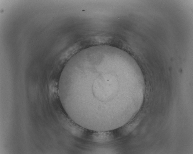 X0000076430672200610271735