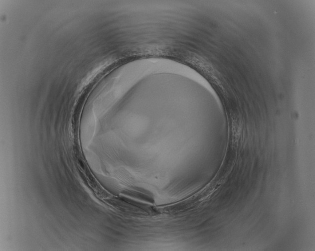 X0000076430674200610271734