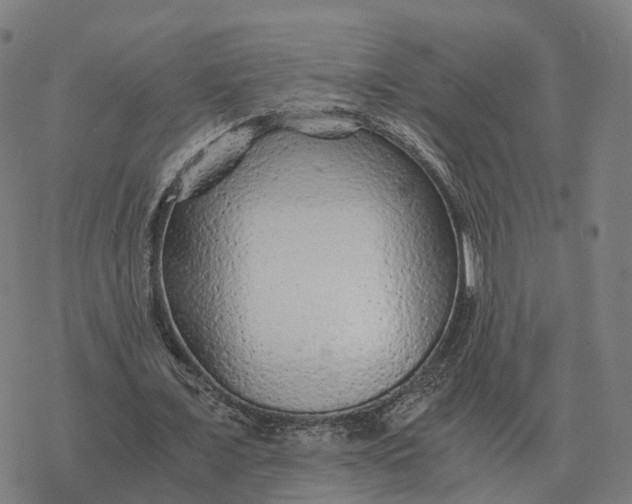 X0000076430675200610271734