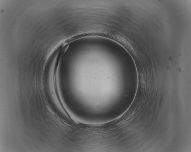 X0000076430676200610271734