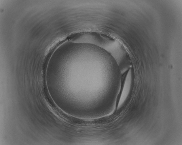 X0000076430677200610271734