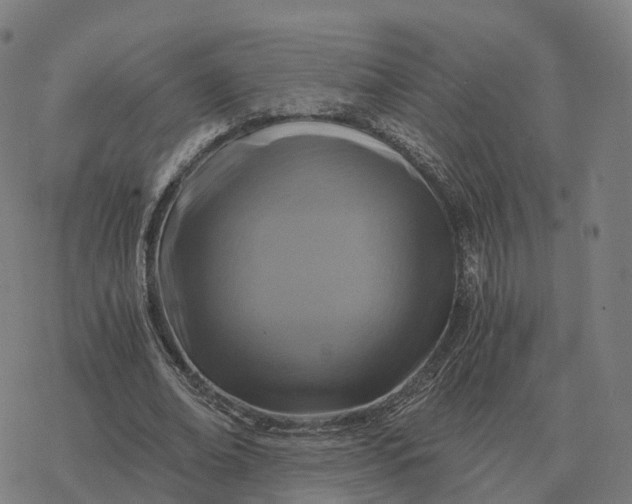 X0000076430678200610271734