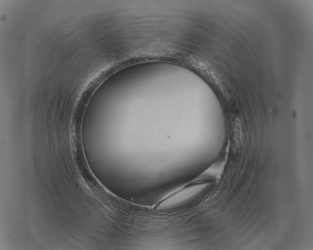 X0000076430680200610271734